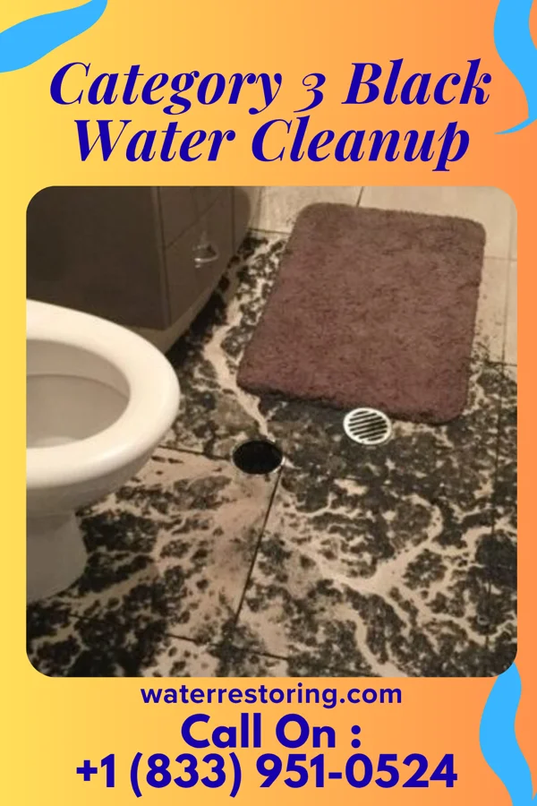 Category 3 Black Water Cleanup in Creston, WA